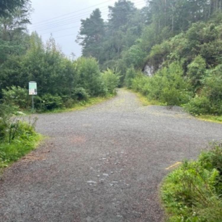 Løype Bergen Skogsmaraton_10