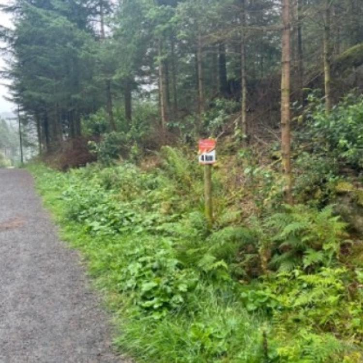 Løype Bergen Skogsmaraton_11