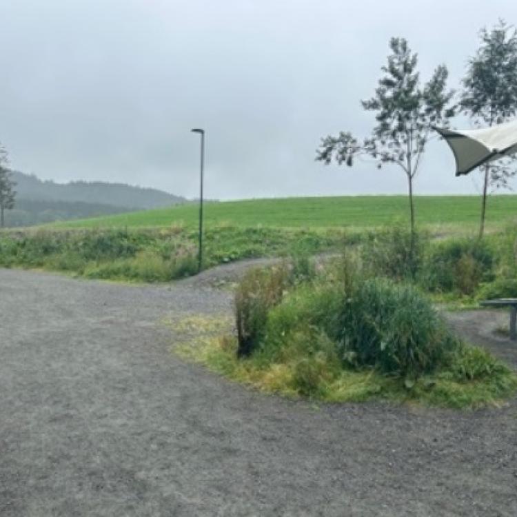 Løype Bergen Skogsmaraton_12