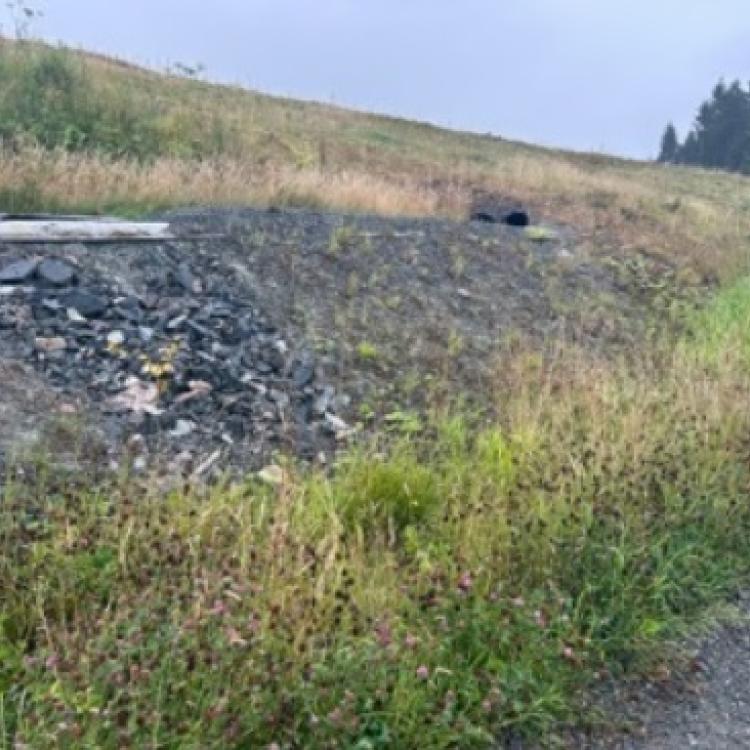 Løype Bergen Skogsmaraton_13