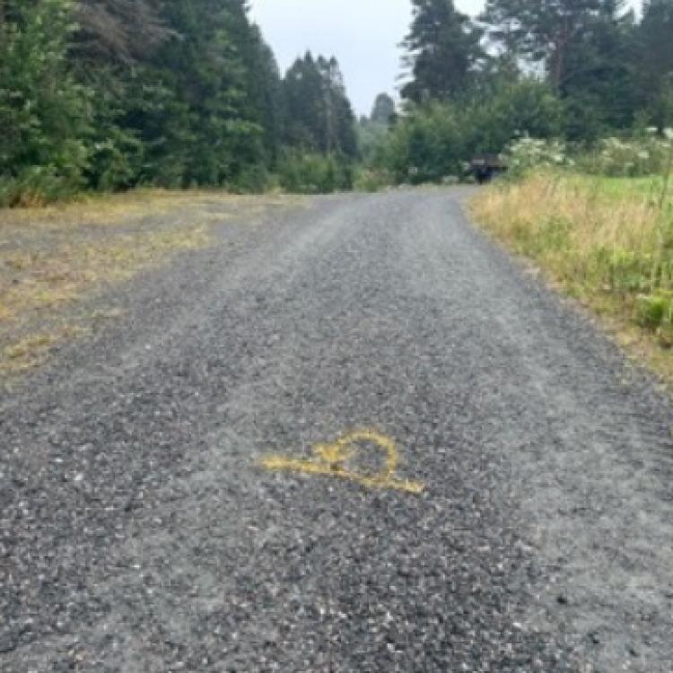 Løype Bergen Skogsmaraton_14