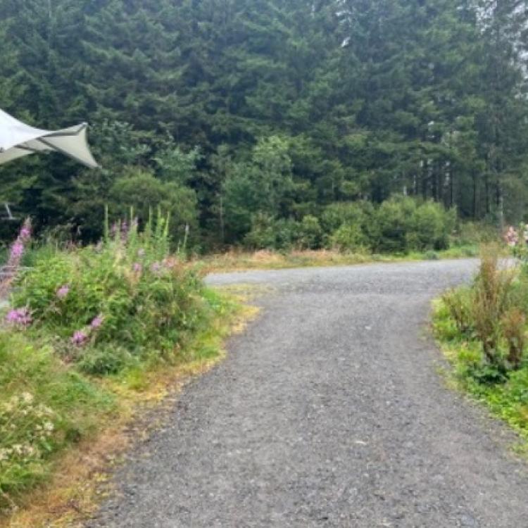 Løype Bergen Skogsmaraton_16