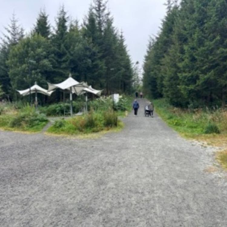 Løype Bergen Skogsmaraton