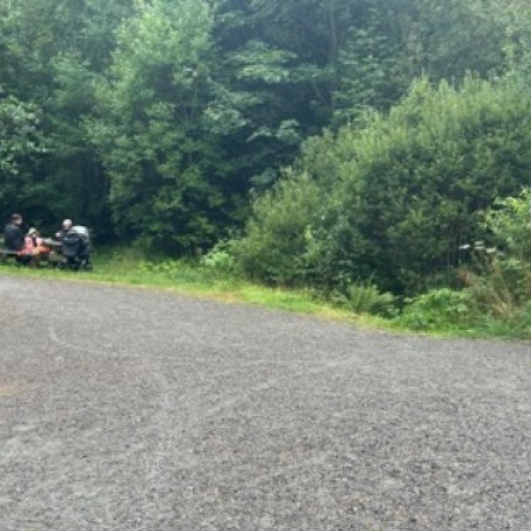 Løype Bergen Skogsmaraton_5