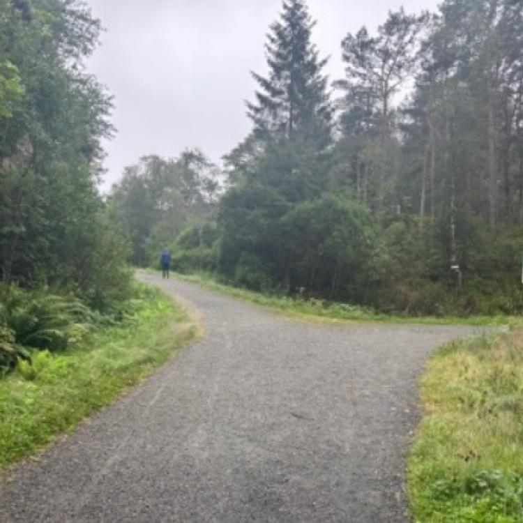 Løype Bergen Skogsmaraton_6